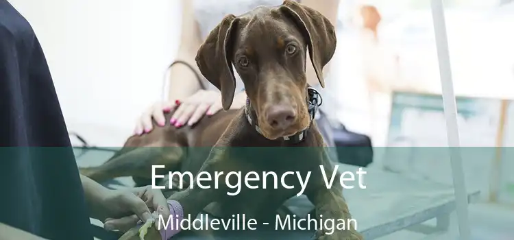 Emergency Vet Middleville - Michigan