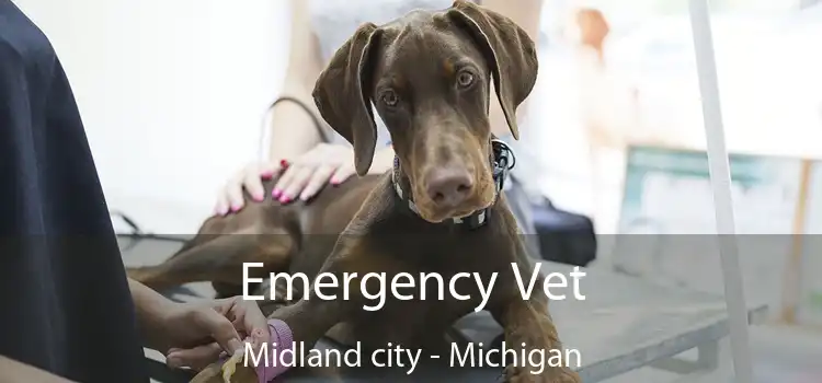 Emergency Vet Midland city - Michigan