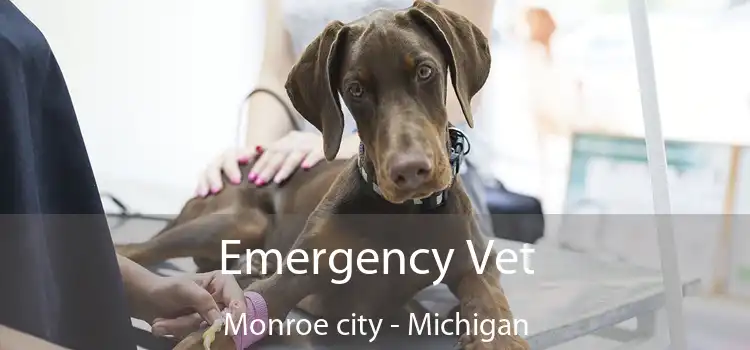 Emergency Vet Monroe city - Michigan