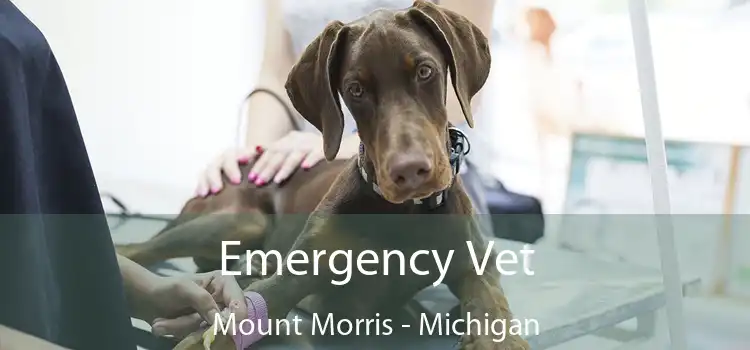 Emergency Vet Mount Morris - Michigan