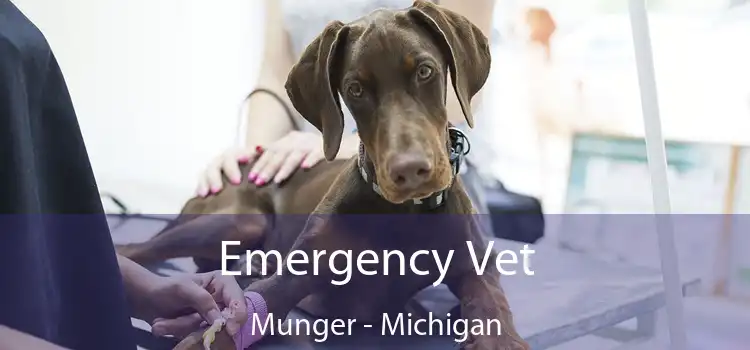 Emergency Vet Munger - Michigan