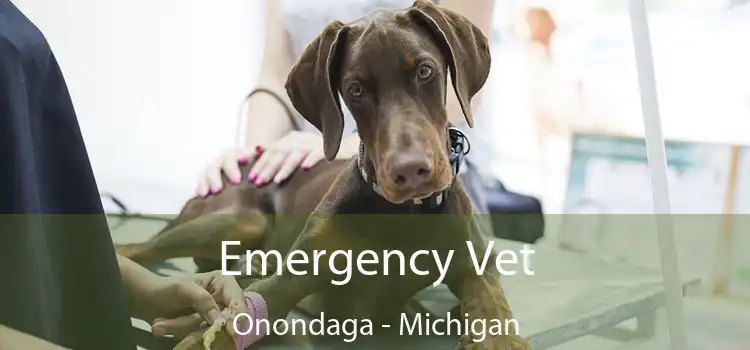 Emergency Vet Onondaga - Michigan