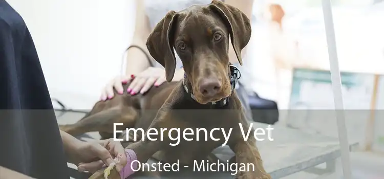 Emergency Vet Onsted - Michigan