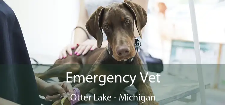 Emergency Vet Otter Lake - Michigan