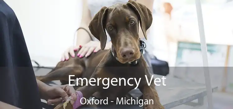 Emergency Vet Oxford - Michigan