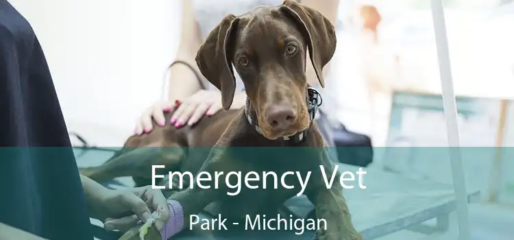 Emergency Vet Park - Michigan