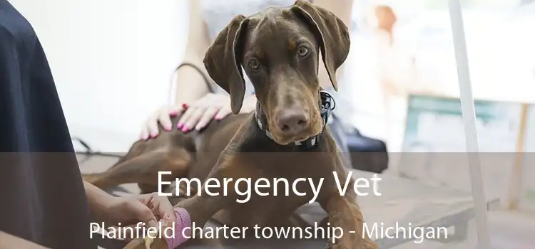 Emergency Vet Plainfield charter township - Michigan