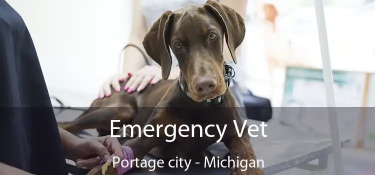 Emergency Vet Portage city - Michigan