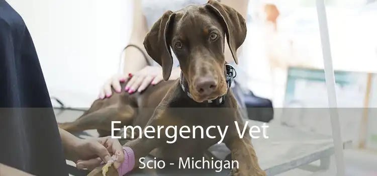 Emergency Vet Scio - Michigan