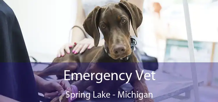 Emergency Vet Spring Lake - Michigan