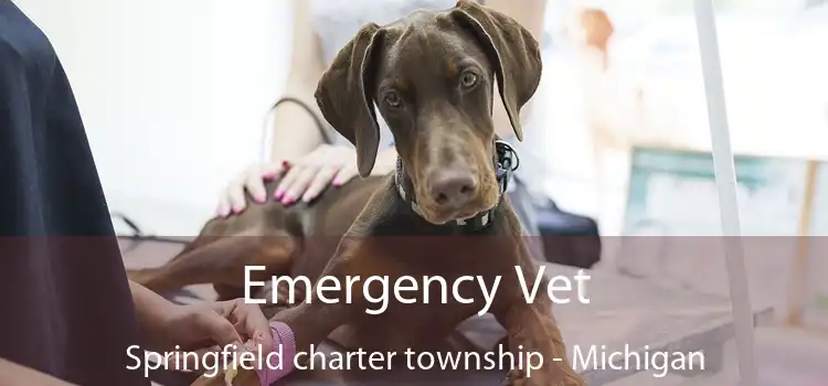 Emergency Vet Springfield charter township - Michigan