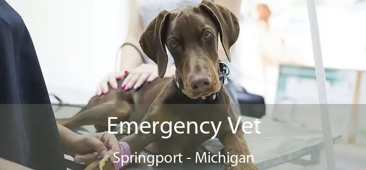 Emergency Vet Springport - Michigan