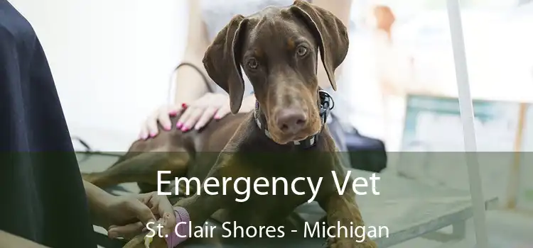 Emergency Vet St. Clair Shores - Michigan