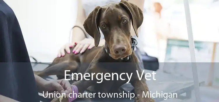 Emergency Vet Union charter township - Michigan