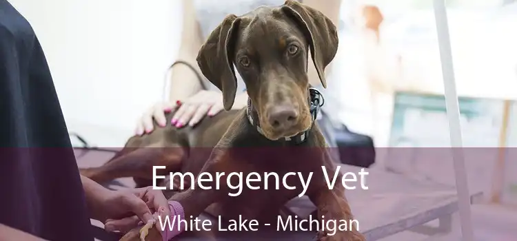 Emergency Vet White Lake - Michigan