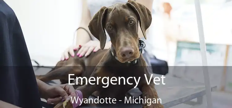 Emergency Vet Wyandotte - Michigan