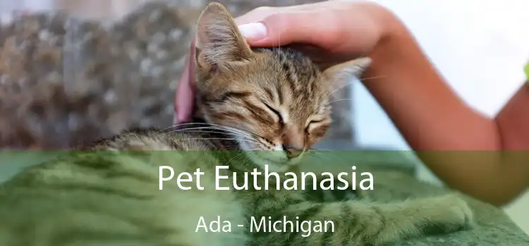 Pet Euthanasia Ada - Michigan