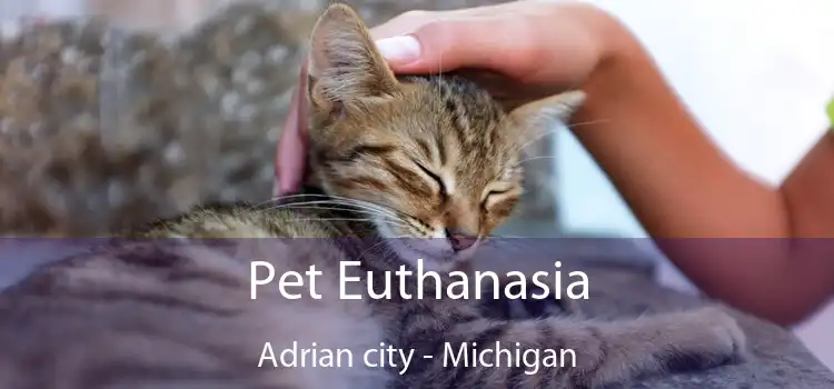 Pet Euthanasia Adrian city - Michigan