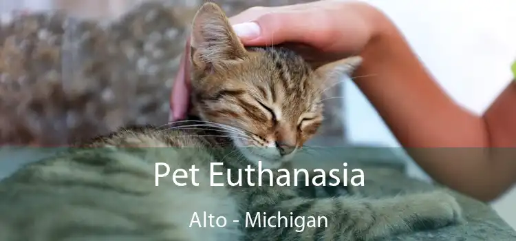 Pet Euthanasia Alto - Michigan