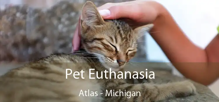 Pet Euthanasia Atlas - Michigan