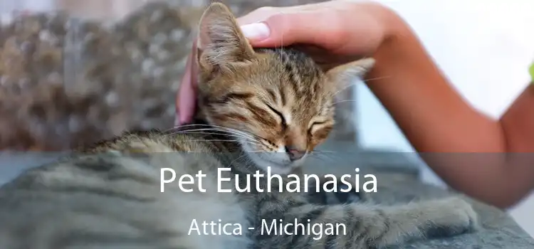 Pet Euthanasia Attica - Michigan