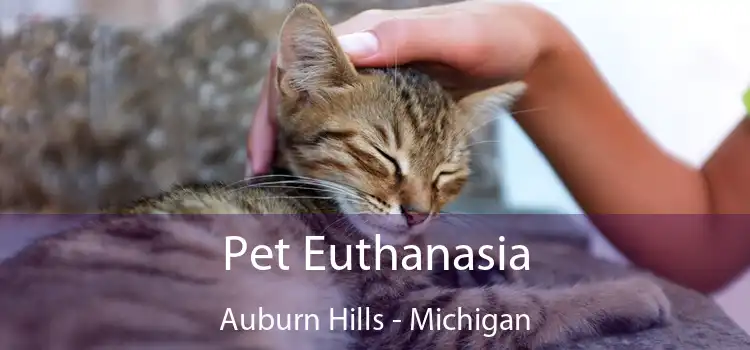 Pet Euthanasia Auburn Hills - Michigan