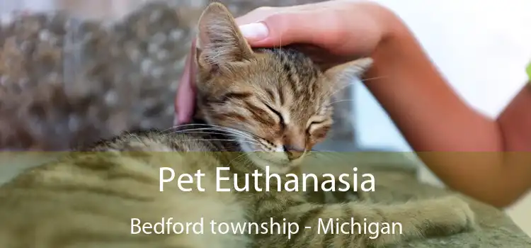 Pet Euthanasia Bedford township - Michigan