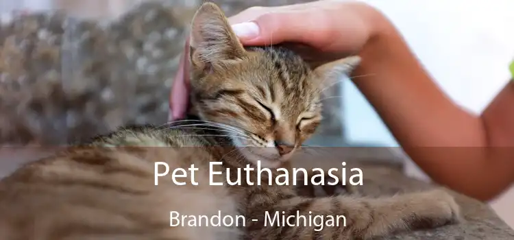 Pet Euthanasia Brandon - Michigan