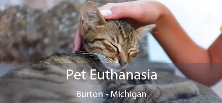 Pet Euthanasia Burton - Michigan