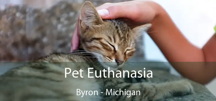 Pet Euthanasia Byron - Michigan