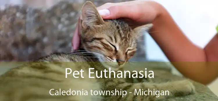 Pet Euthanasia Caledonia township - Michigan