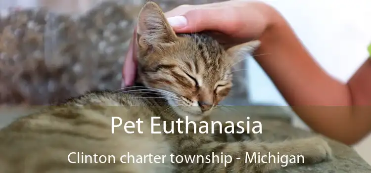 Pet Euthanasia Clinton charter township - Michigan