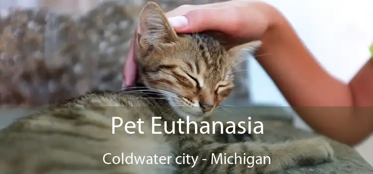 Pet Euthanasia Coldwater city - Michigan