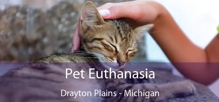 Pet Euthanasia Drayton Plains - Michigan