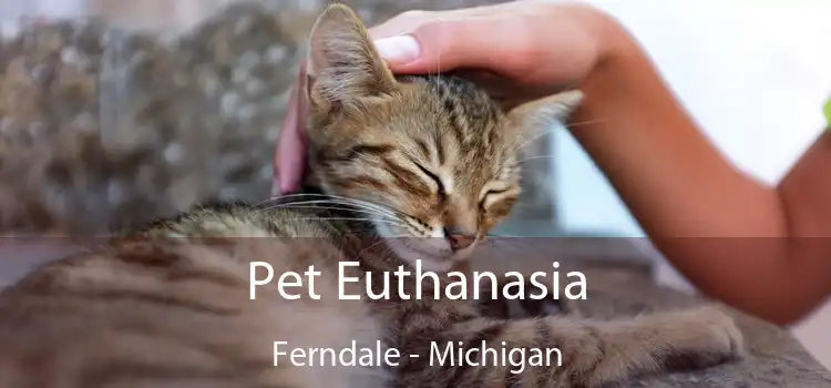 Pet Euthanasia Ferndale - Michigan