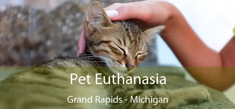 Pet Euthanasia Grand Rapids - Michigan