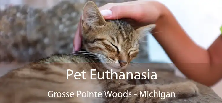 Pet Euthanasia Grosse Pointe Woods - Michigan