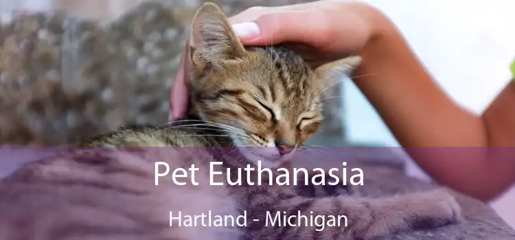 Pet Euthanasia Hartland - Michigan