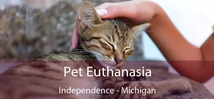 Pet Euthanasia Independence - Michigan