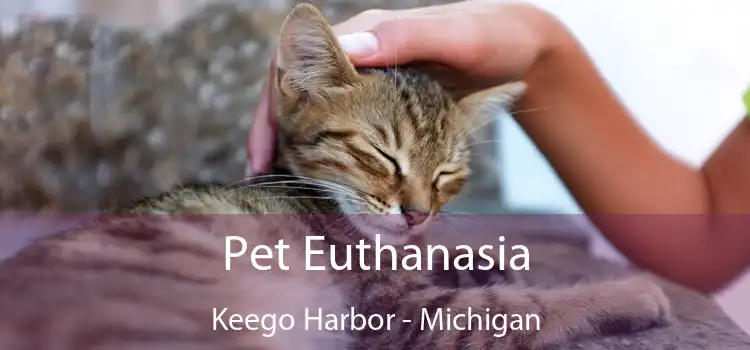 Pet Euthanasia Keego Harbor - Michigan