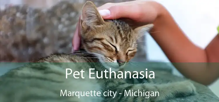 Pet Euthanasia Marquette city - Michigan