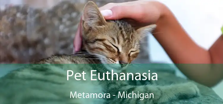 Pet Euthanasia Metamora - Michigan