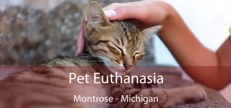 Pet Euthanasia Montrose - Michigan