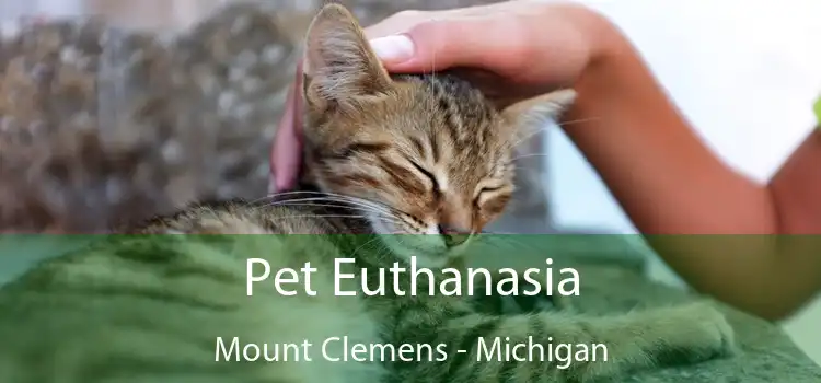 Pet Euthanasia Mount Clemens - Michigan