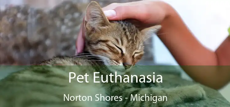 Pet Euthanasia Norton Shores - Michigan