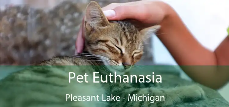 Pet Euthanasia Pleasant Lake - Michigan