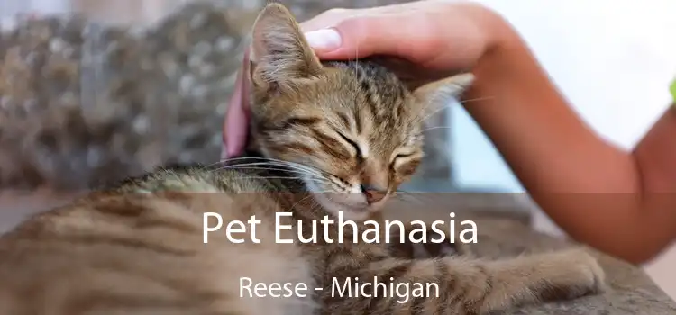 Pet Euthanasia Reese - Michigan