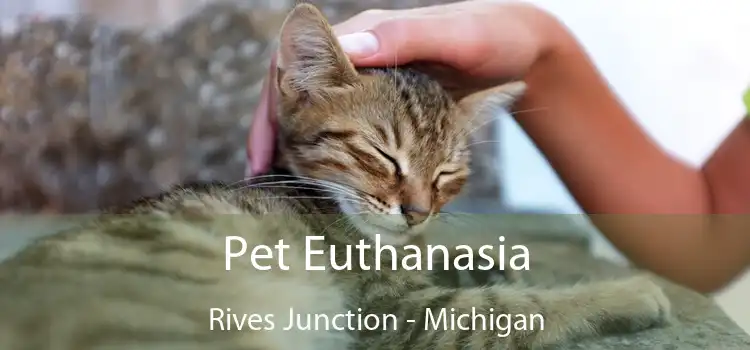 Pet Euthanasia Rives Junction - Michigan