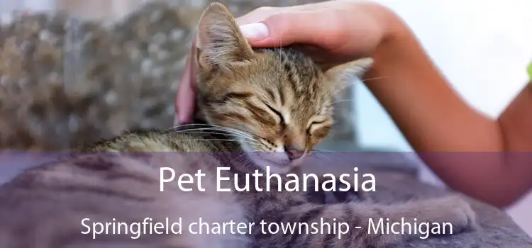 Pet Euthanasia Springfield charter township - Michigan