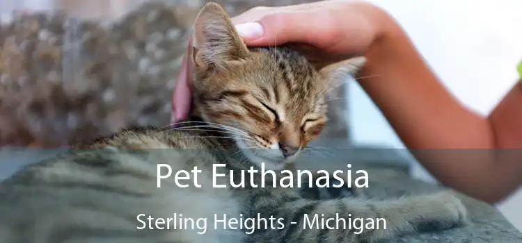 Pet Euthanasia Sterling Heights - Michigan